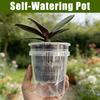 Self Watering Orchid Pots Double-Layer Mesh Pot Root Control Transparent Flowerpot Nursery Plants Pot With Holes Garden Supplies