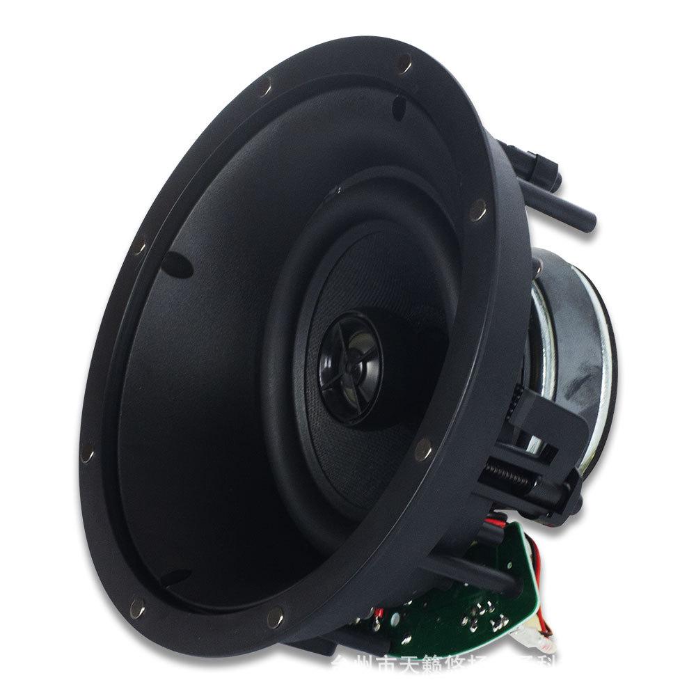 Tianlai Built-in HiFi Coaxial Ceiling Speaker for Home & Shop Background Music