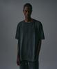 Diantipeullaespom Sunbleach Regular Fit T-Shirt (Charcoal)