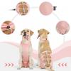 Pet Clothing, Dog Postoperative Recovery Clothing, Medium and Large-sized Dog Sterilization Clothing, Weaning and Lacing Style, Anti-licking