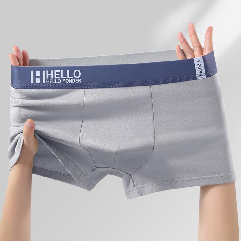 Plus Size Men's Spring and Summer Pure Cotton Antibacterial and Breathable Youth Briefs