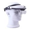 Hands Release LED Headlamps Magnifier for Beekeeping High Clear Lens for Insect Observation and Queen Rearing