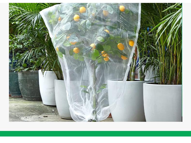 Thickened Insect Net for Greenhouses, Aquaculture, and Vegetable & Fruit Trees