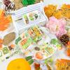 JIANWU 60mm*200cm Vintage Autumn Flower Fruit Landscape Material Collage PET Tape Creative DIY Journal Stationery