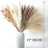 100pcs/set Dried Pampas Grass Natural Dried Rabbit Tail Grass-Elegant Forever Flower Decoration Outdoor Home Festive Decor