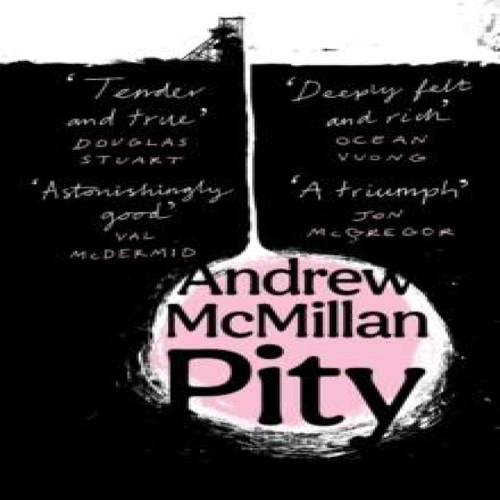 Pity by Andrew McMillan Paperback Book 9781838858988