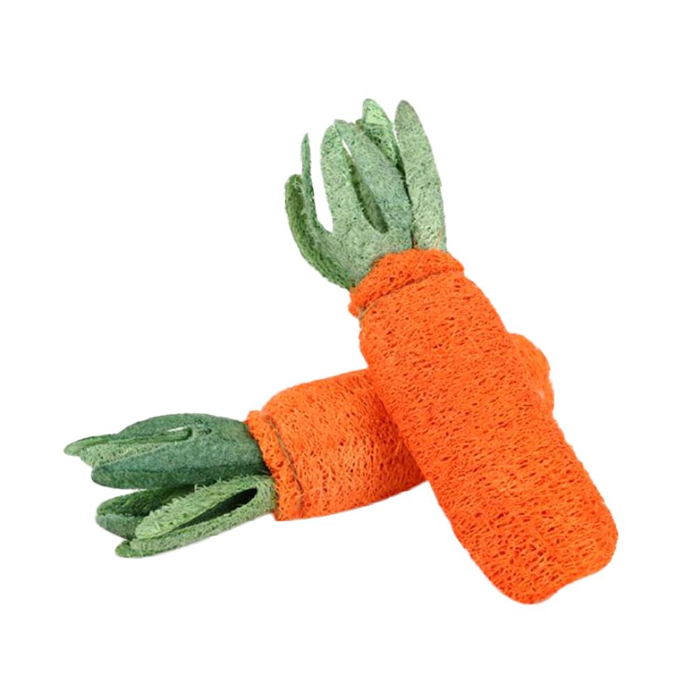 Buy 1 Pc Molar Toy Practical Safe Edible Loofah Carrot Shaped Pet Supplies for Cat Rabbit at