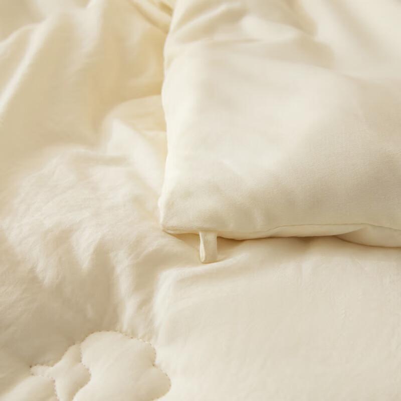 Muji Xinjiang Cotton Class A All-Season Duvet Insert