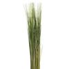 Artificial Grass, 79 Cm High