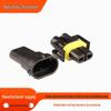 12124817 Geeignet für BYD Nebelscheinwerfer-Kabelbaumstecker 12124819 Stecker