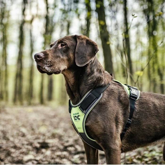 Harnais De Randonnée - Julius K9 - IDC Longwalk - Jaune Fluo - Taille M - Confort Optimal