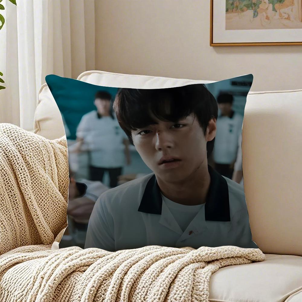 Webtoon Gritty 1 WWeak HHero Class 1 Cushion Cover Pillowcase Antidustmite living Room Sofa Decor Cushion Room