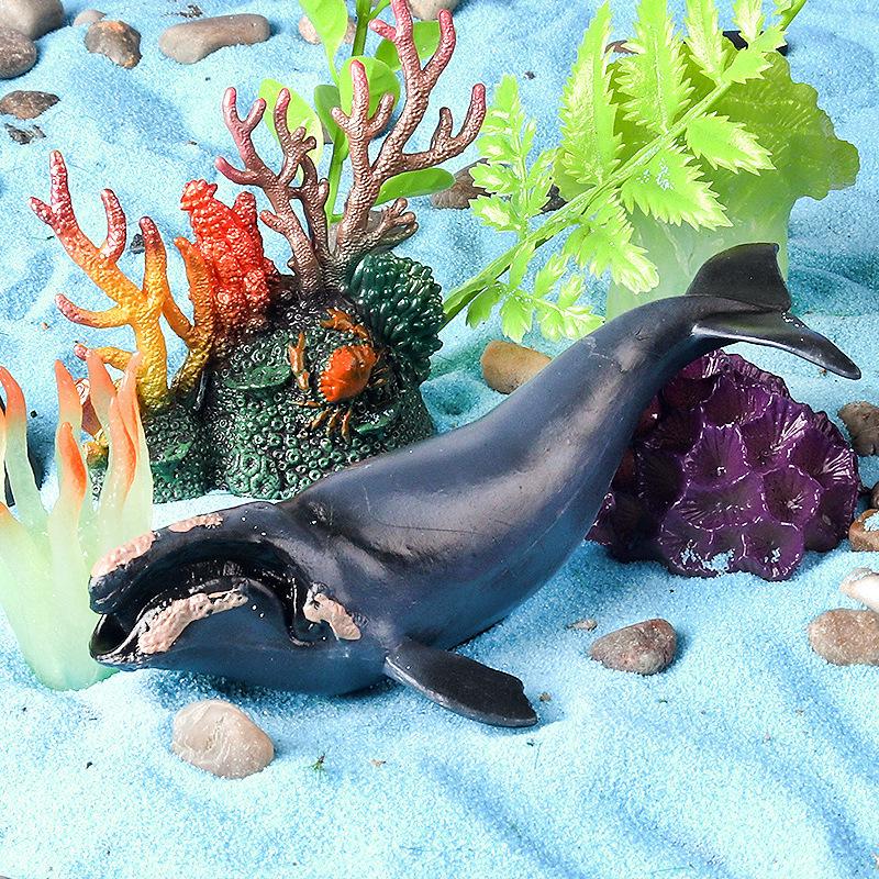 Children's Marine Animal Toy: Whale, Shark, Humpback Whale Model