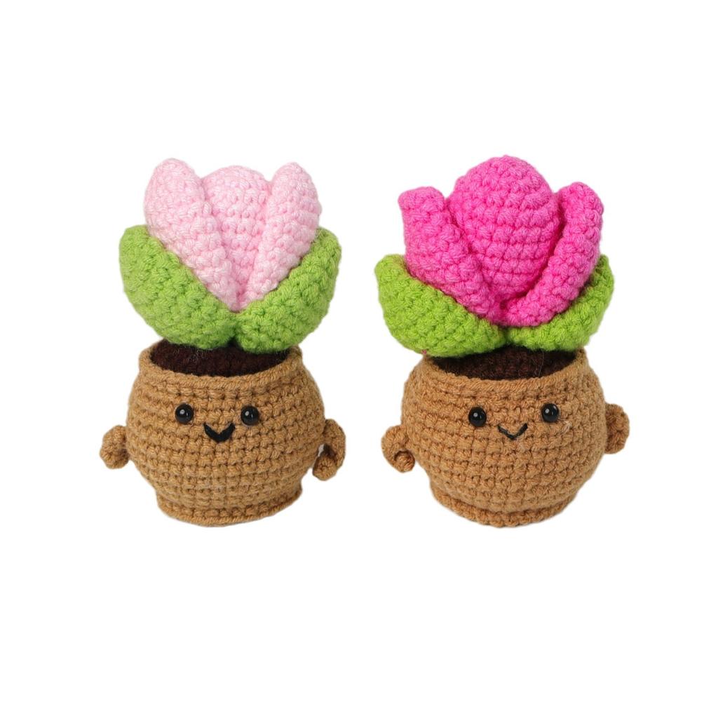 Figurine en pot de cactus tulipe au crochet fait à la main en fil tricoté fini