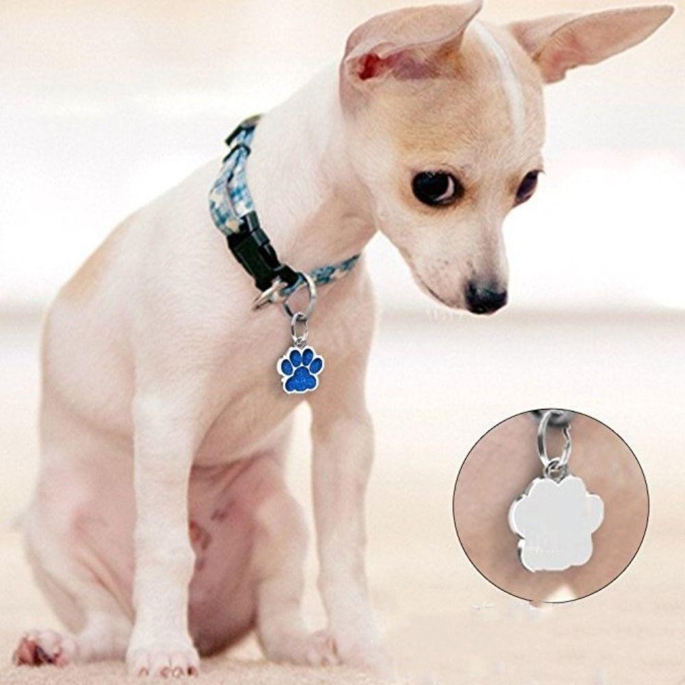 Anti-Verlust Haustier Glitzer Anhänger Personalisierter Haustier Halsband Anhänger Hund Katzen Anhänger Kätzchen