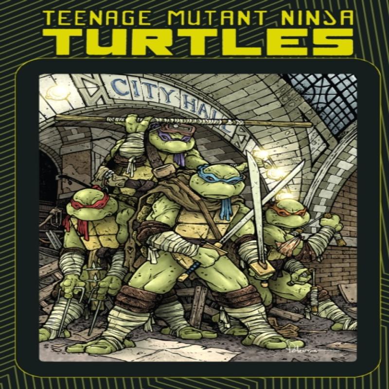 Teenage Mutant Ninja Turtles MacroSeries by Ian Flynn Paperback Book 9781684054831