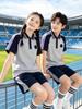 Liaoning Shenyang Primary School Summer Uniform Set for Students - Multi-piece, All-Season Wear