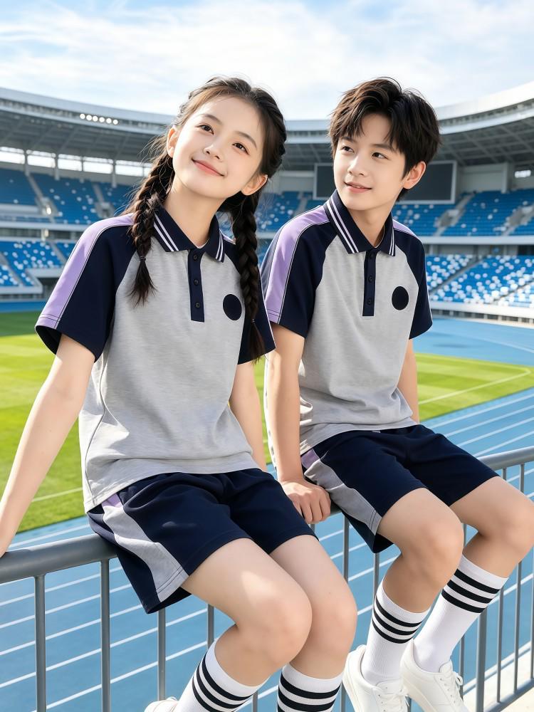 Liaoning Shenyang Primary School Summer Uniform Set for Students - Multi-piece, All-Season Wear