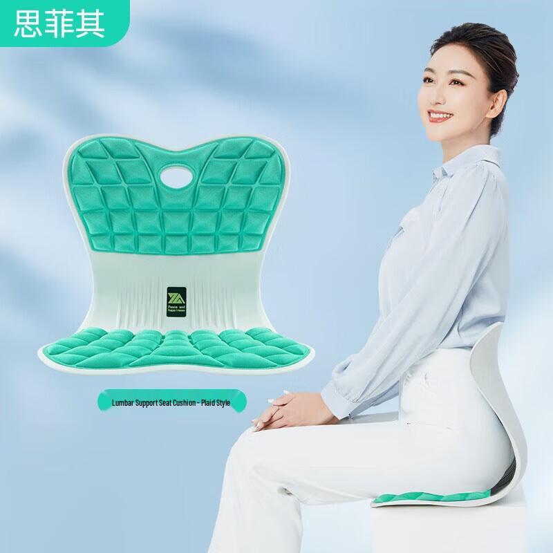 Ergonomic Lumbar Support Seat Cushion