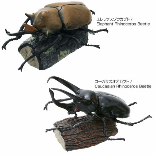 Carolata 3D Illustrated Rhinoceros Beetle Figures (6 Types / Includes Instruction Manual) Realistic Toys (Educational Toys) Birthday Gift Present (Foo
