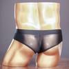 Low Rise Briefs Transparent Mesh Underwear Men Sexy Ultra Thin Knickers Bulge Pouch Underpants See Through Ice Silk Lingerie