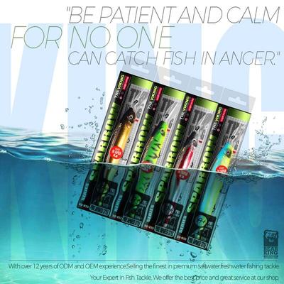 Bearking 128mm 22.9g Depth2 - 3m Wobbler Top Fishing Lures Hard Bait Minnow Quality Hooks Fishing Accessories For Fishing Tackle