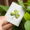 Yousheng Four-Leaf Clover Embroidered Applique, Irish Shamrock Patch, Iron-on Sew-on Applique for Clothes Bags Hats Decoration Repairing