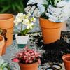 6Sets Nursery Pots for Plants Planter with Humidity Dome Plant Labels with Drainage Holes for Vegetable Propagation Root Cutting