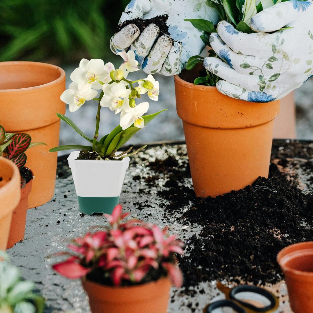 6Sets Nursery Pots for Plants Planter with Humidity Dome Plant Labels with Drainage Holes for Vegetable Propagation Root Cutting