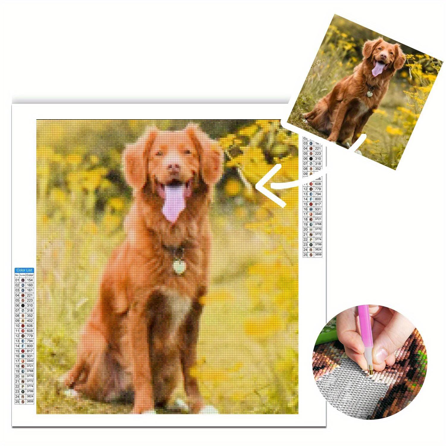 

Наборы для алмазной вышивки с круглыми стразами на заказ для взрослых, домашние животные, собака, кошка, алмазная вышивка на заказ, частный дизайн по вашей фотографии 20x20