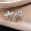 Cold Wind Zircon Stars Pony Stud Earrings Natal Year Fashion Earrings Women
