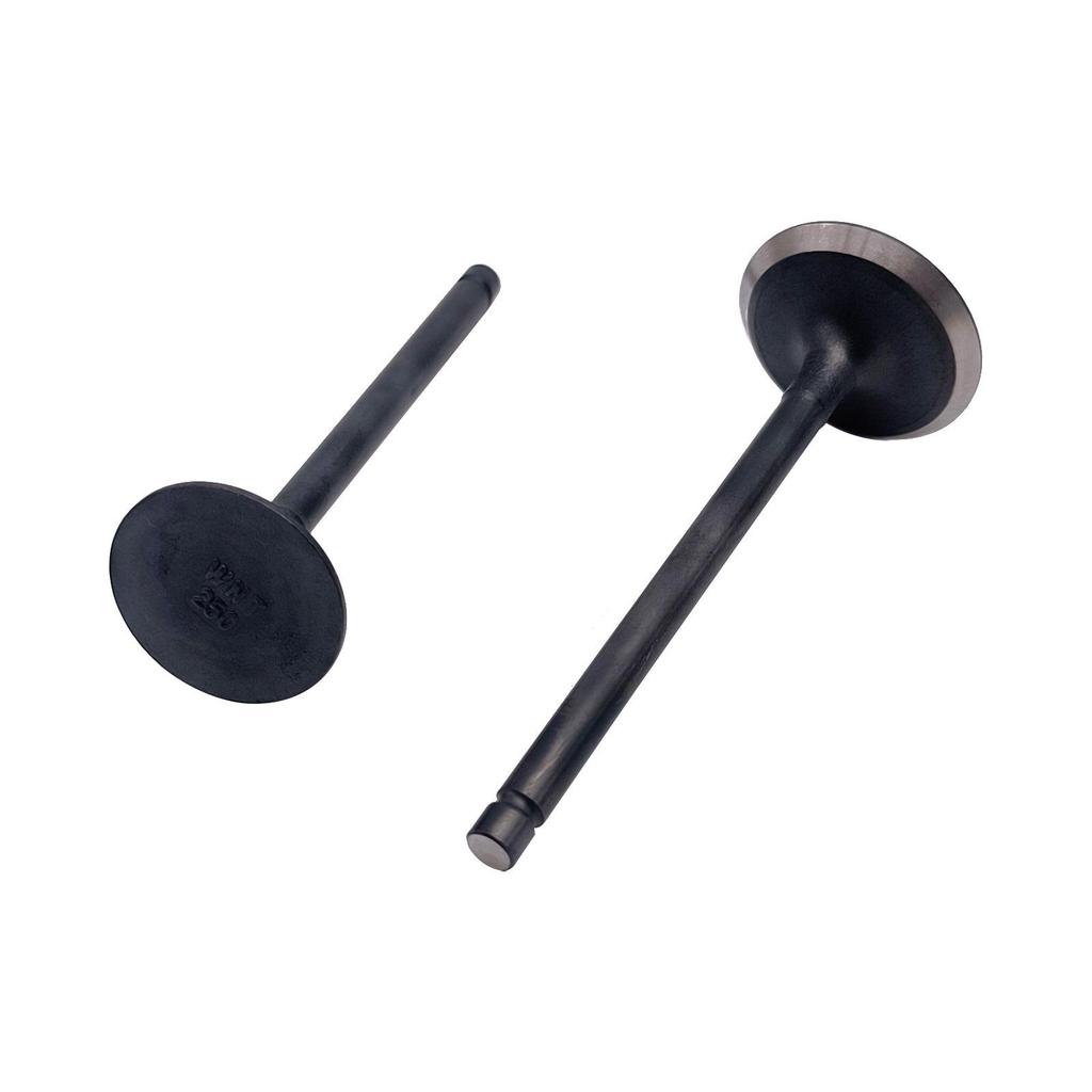 Cross-applicable LH 260 300 ATV Intake & Exhaust Valve Set (22601/22602)