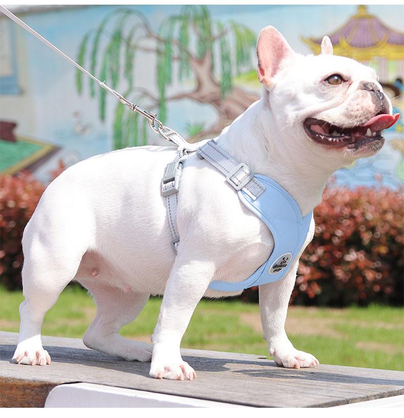 Adjustable Breathable Macaron Dog Harness - Vest Style for Small Pets