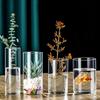 Vase en verre transparent Cylindres en verre Vase adapté à divers arrangements