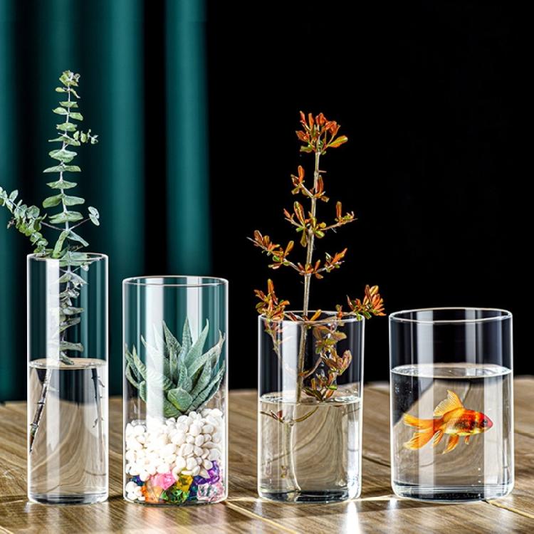 Vase en verre transparent Cylindres en verre Vase adapté à divers arrangements
