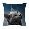 Cute Cat Pillowcase Car Ornaments Living Room Office Home Pillowcase