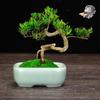 Ceramic Purple Clay Succulent Bonsai Pot - High-End Glazed Mini Flower Pot 
