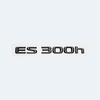 ABS-Buchstaben ES200 ES240 ES250 ES300h ES350 Glänzend Schwarzes Emblem Auto Kofferraumplakette Modifiziertes Aufgewertetes Aufkleber für Lexus ES Serie VH6
