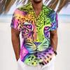Camisas – Camisas de manga curta