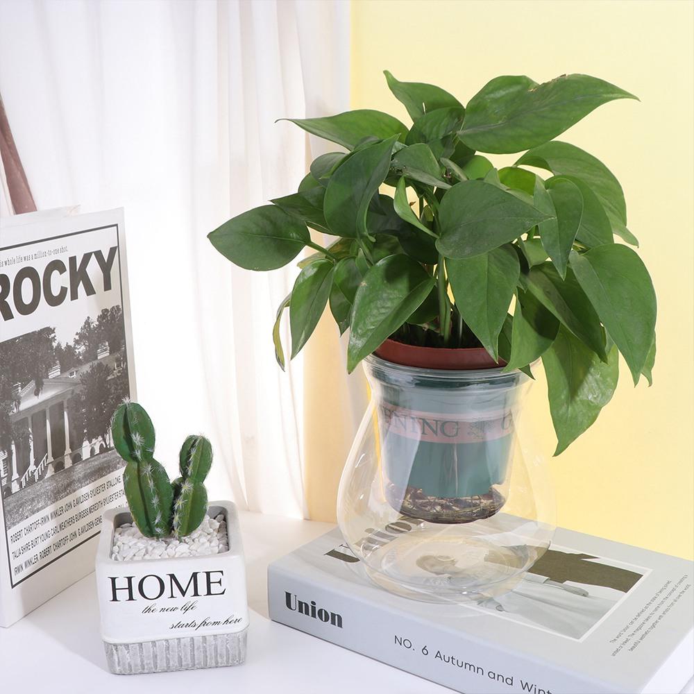Floor-standing Hydroponic Flower Pot Plastic Aquatic Plant Container Creative   Desktop