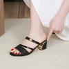 Fashion Block Heel Sandals and Slippers for Women In Summer 2025 New Fashionable and Versatile High-heeled Two-wear Sandals