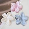 Frangipani Fresh and Sweet Egg Flower Back of Head Disc Hair Shark Clip Hair Ornament Claw Hair Clips for Women