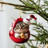 2PCS Cute Cat Theme Christmas Ball Acrylic 2D Decorative Hanging Ornament for Xmas Tree Festive Party New Pendant Supplies