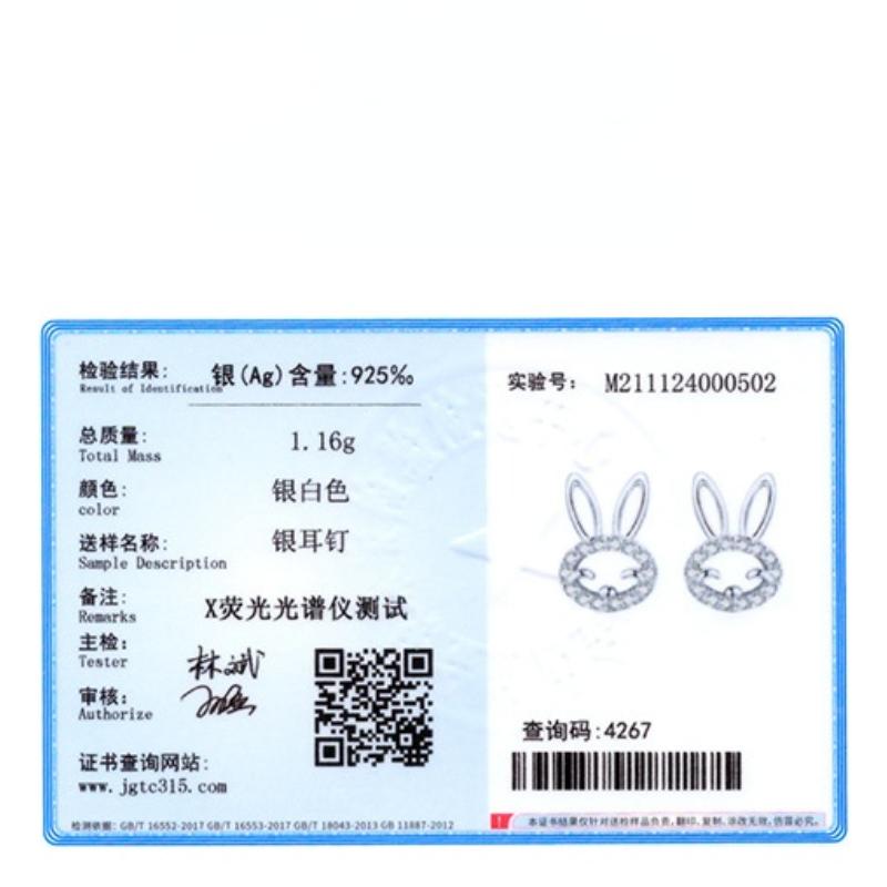 Tancise 925 Sterling Silver Zircon Earrings Drop Earrings For Women Wedding Party Gifts