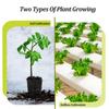 20Pcs Garden Planting Nursery Basket with Mesh Net Planter Hydroponic Cups Vegetable Soilless Slotted Mesh Grow Pots
