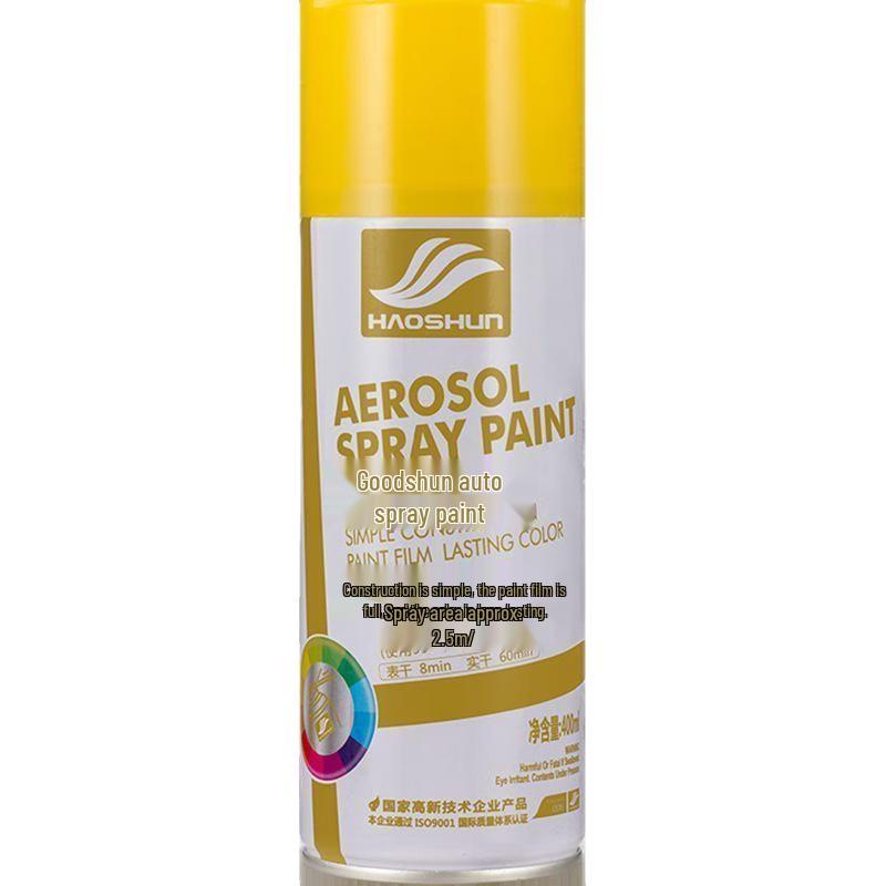 DAMELLE Automatic Spray Paint