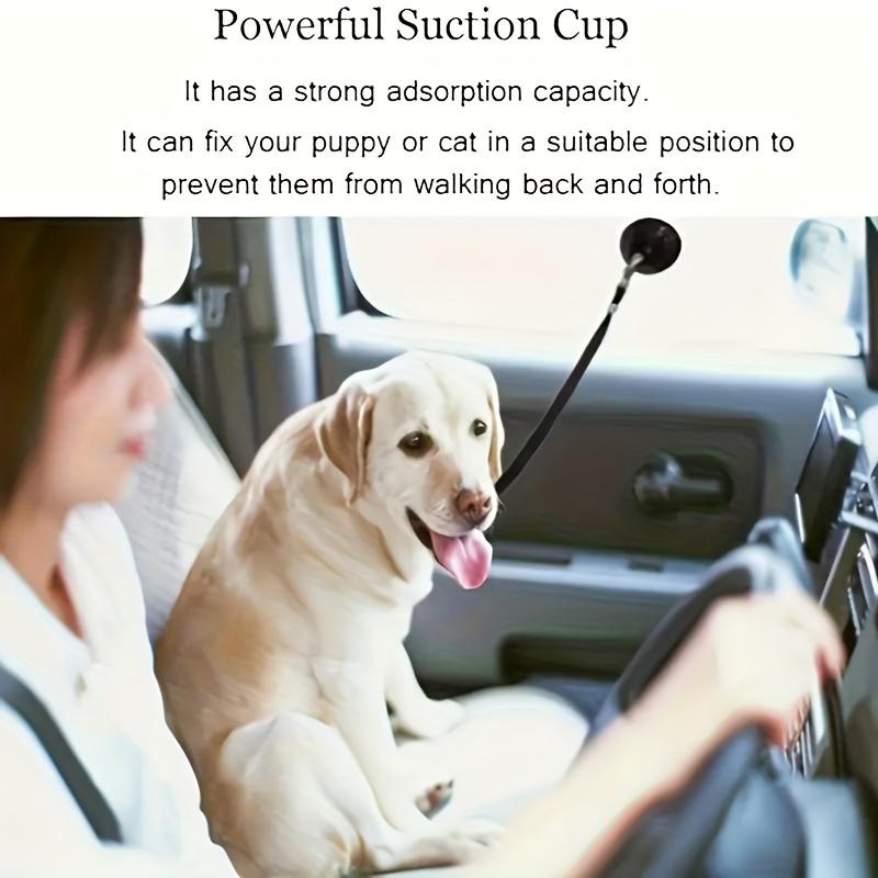 Adjustable Dog Bathing Restraint System with Non- Cup