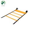Sports Agility Training Ladder