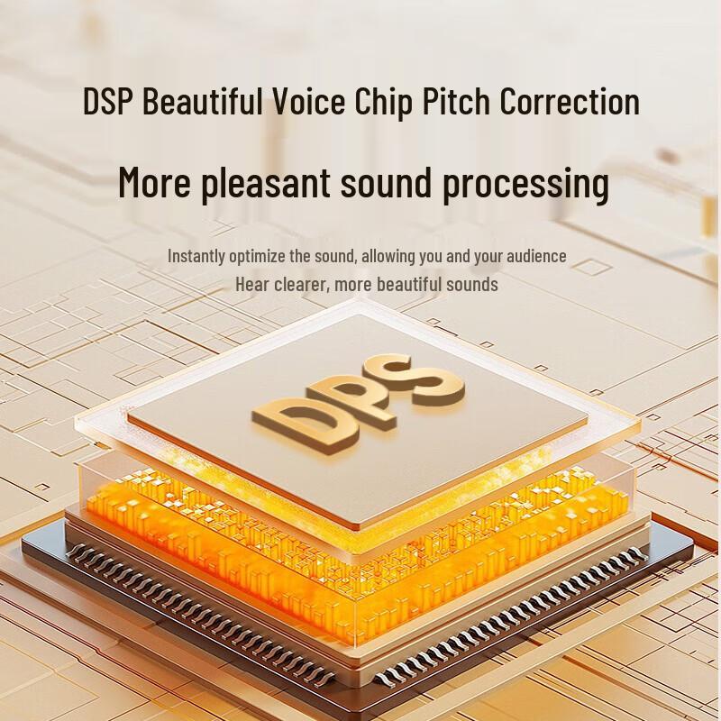 SANSUI 91P Home KTV Sound System CN Plug (adapter Included)