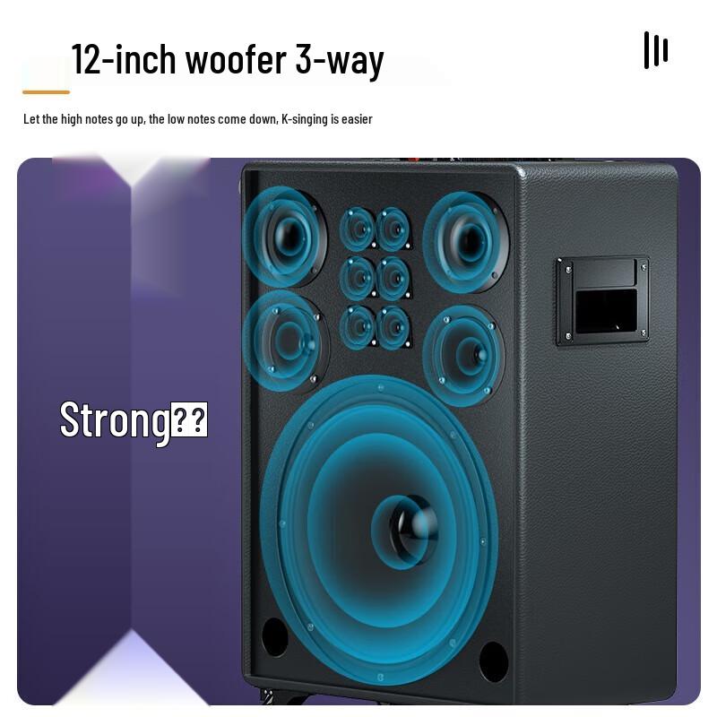 Soaiy K123 Portable KTV Speaker
